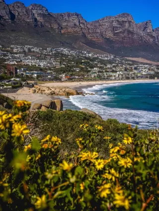 에티오피아와 남아프리카 사이를 오가며