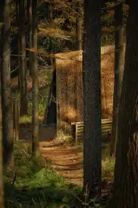 登頂東崗山,邂逅雲海、風車與滿目青翠。
