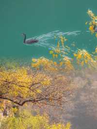 淡季攻略｜雲台山錯峰遊的快樂誰懂啊