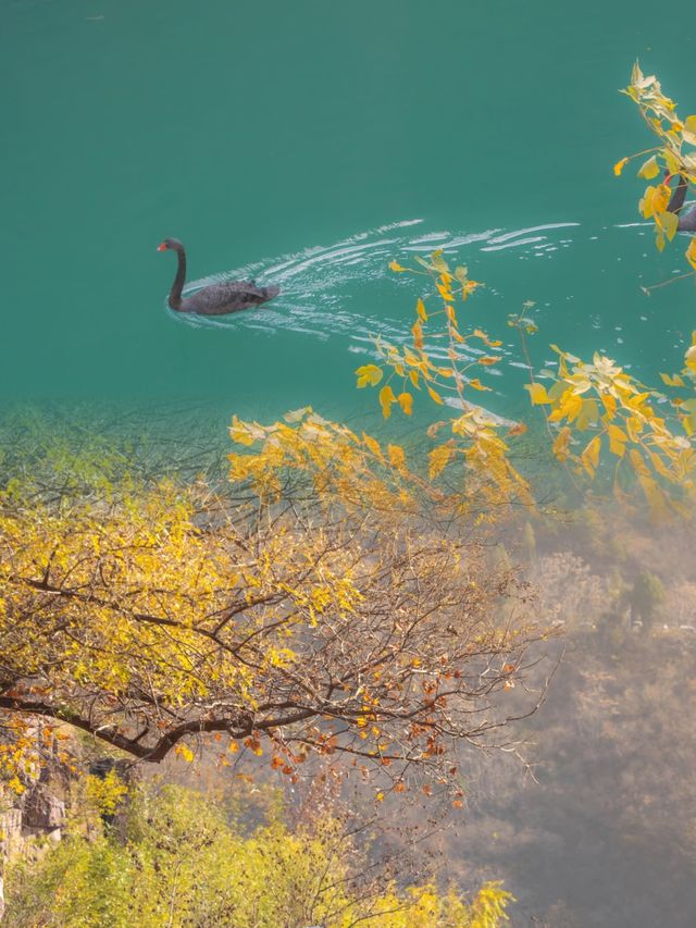 淡季攻略｜雲台山錯峰遊的快樂誰懂啊