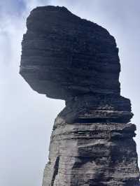 18天馬達加斯加等多國遊必看攻略