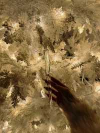 阿那亞聖誕夜景這樣拍聖誕小鎮童話夜