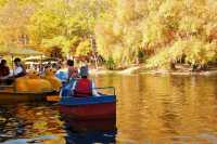 超全攻略!冬日共青森林公園賞秋絕了