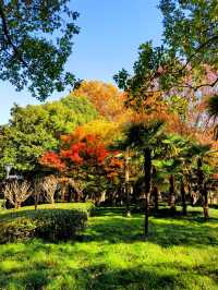 上海楊浦免費賞秋地