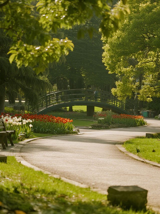 武漢12月遛娃!植物園美成莫奈油畫 武漢12月遛娃!植物園美成莫奈油畫