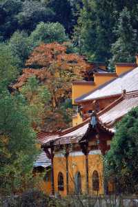 九華山仙境｜12月必打卡機位