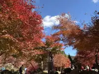 不是京都!實況無調色