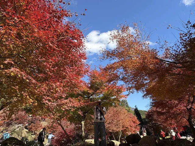 不是京都!實況無調色 不是京都!實況無調色