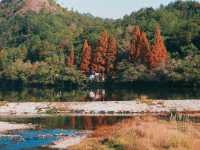 帶爸媽遊仙都|人均500+玩轉山水秘境 這份攻略太省心啦!