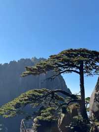 總要來趟黃山吧登上雲端,邂逅中國最美日出!