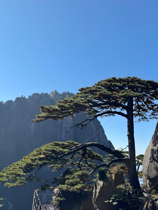 總要來趟黃山吧登上雲端,邂逅中國最美日出! 總要來趟黃山吧登上雲端,邂逅中國最美日出!