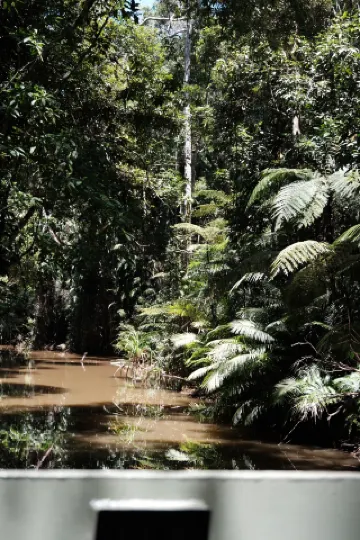 Ride the WWII Army Duck and venture into the Kuranda Rainforest secret realm
