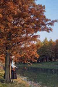 魔都的冬天有多美！紅得像火