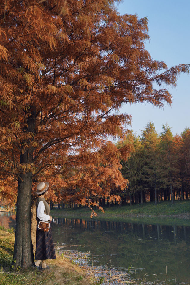 魔都的冬天有多美！紅得像火