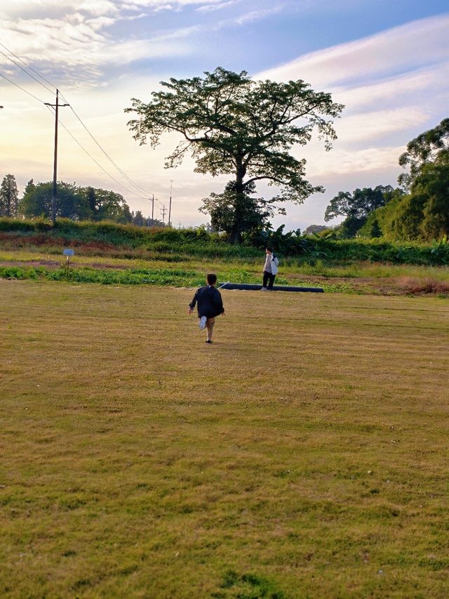 帶娃也能征服鼎湖山？真的做到了！！