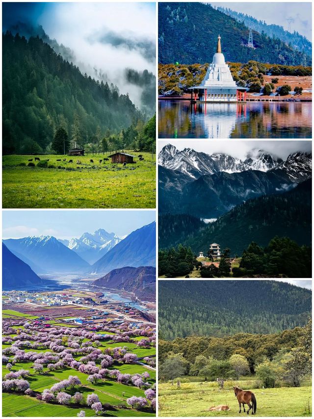 西藏林芝深度遊:邂逅雪山桃花與森林的浪漫 西藏林芝深度遊:邂逅雪山桃花與森林的浪漫