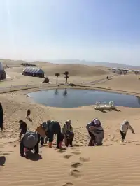 反向帶娃去了中衛才知道！冬天價格真香