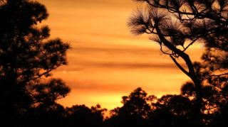 Celebrate the sunset on the shortest day of the year!