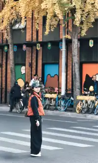 11.30實拍，局門路的銀杏都黃啦！