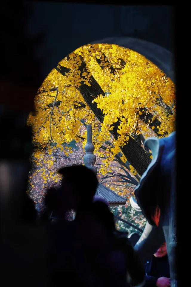 棲霞山 | 拍點不一樣的 棲霞山 | 拍點不一樣的