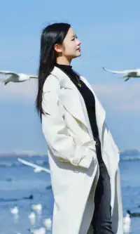 大理紅杉和觀海鷗精華路線！看這篇