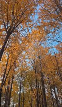 週末出逃|特種兵寧波兩日遊攻略