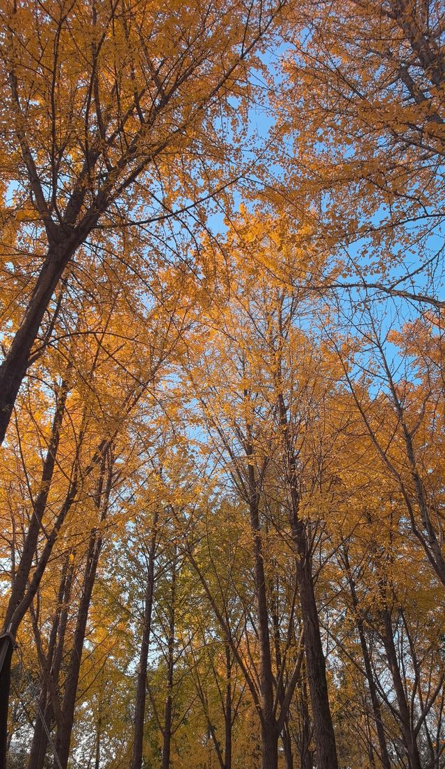 週末出逃|特種兵寧波兩日遊攻略 週末出逃|特種兵寧波兩日遊攻略