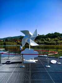 為什麼深圳人總在朋友圈曬這座虹橋？