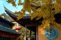 龍華古鎮賞秋攻略