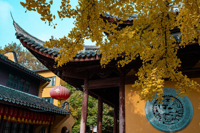 龍華古鎮賞秋攻略 龍華古鎮賞秋攻略