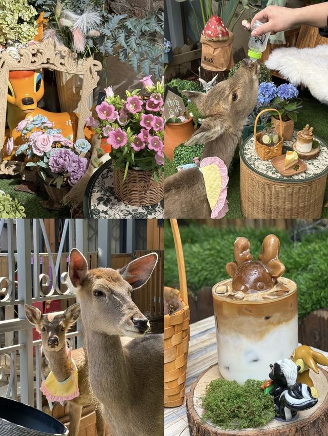 瀋陽半日閒：森系鹿咖與深夜暖居的治癒旅拍