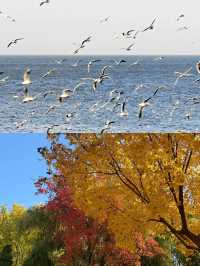 廊坊冬日秘境大公開！這6個小眾地拍照絕了