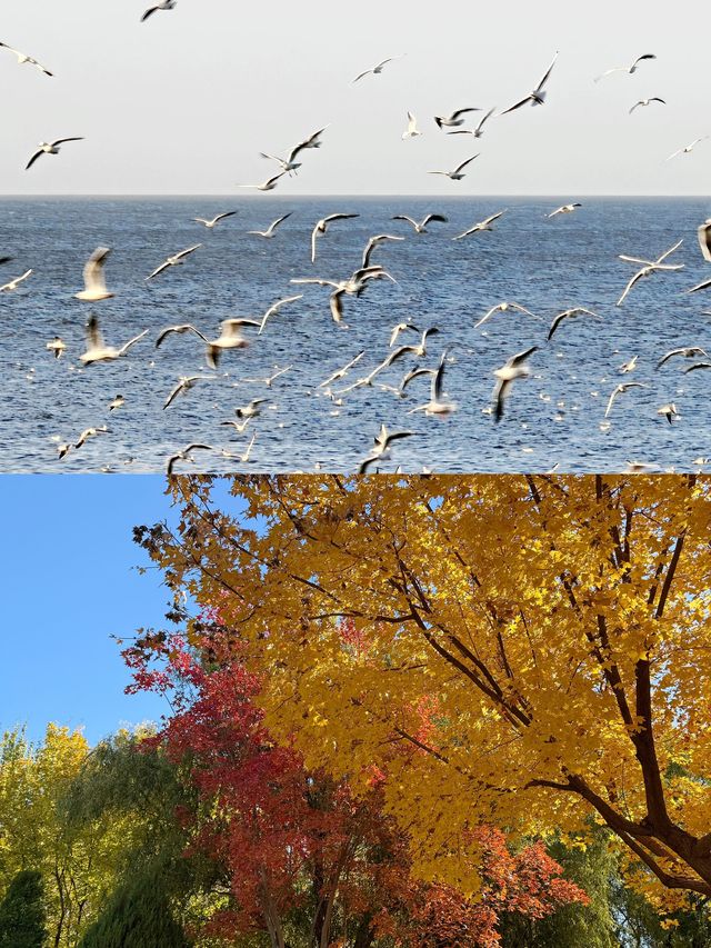 廊坊冬日秘境大公開！這6個小眾地拍照絕了