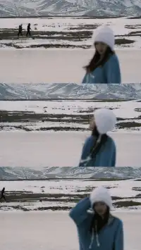 誰懂啊!北疆之旅被國旅司機師傅寵上天