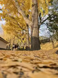 九州之旅第一天|感謝福岡機場小哥為我扒門