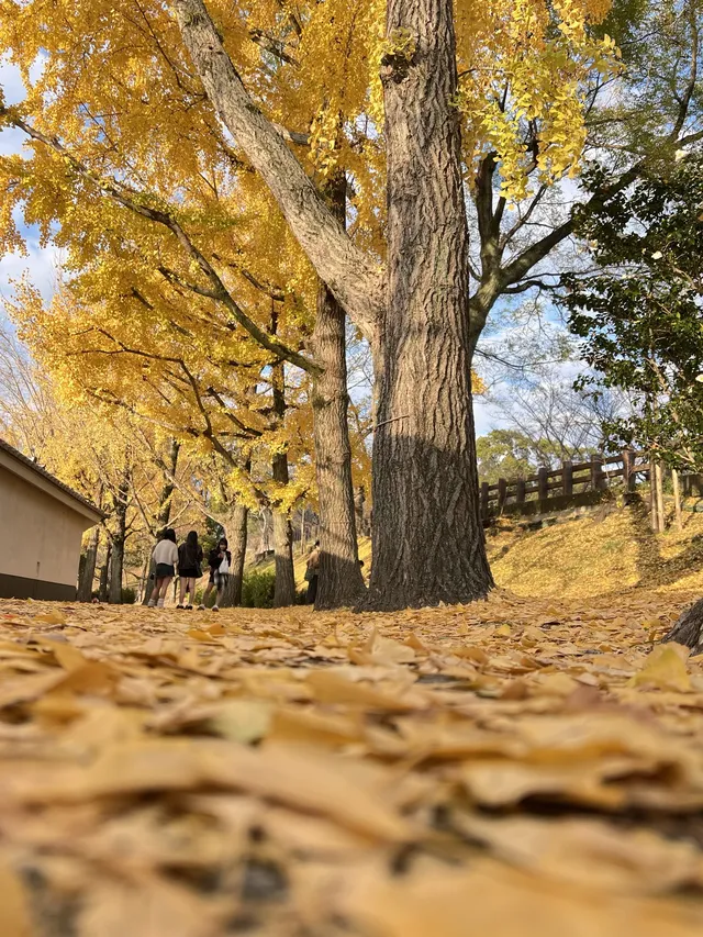 九州之旅第一天|感謝福岡機場小哥為我扒門 九州之旅第一天|感謝福岡機場小哥為我扒門