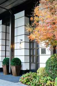 住成都木棉花好方便|在房間到川西一樣