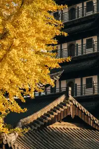 上海寺廟秋天攝影大賽,來交參賽作品了