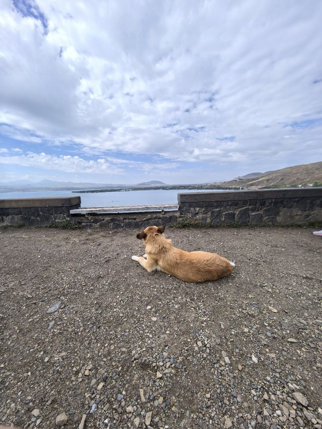 亞美尼亞 高加索明鏡上的千年黑色聖殿