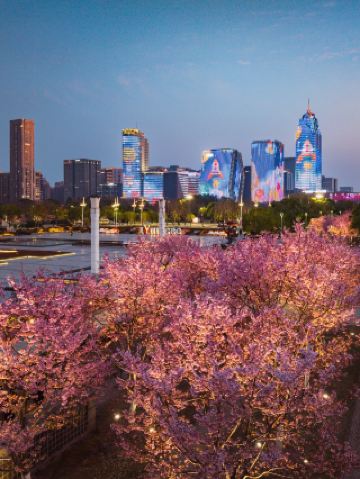 寧波3月の花見の最高峰！街全体の花追いマップが登場