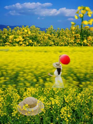 1時間で西安を脱出！夢に見た黄金の花海を見つけました