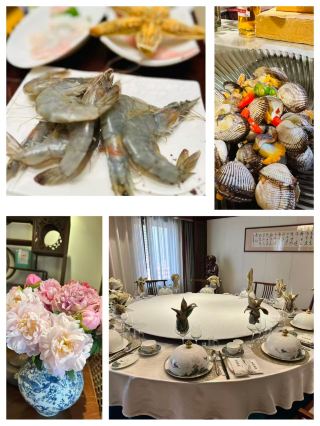 牡丹花開醉曹州｜水邑柏青酒店，賞花旅居天花板   春風十里，不如菏澤一片牡丹花海！2026菏澤