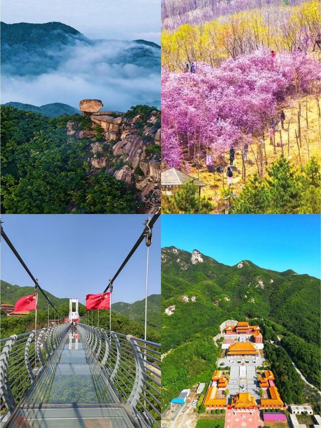 Spring In Dalian Dalian Spring Hiking Guide: Mountain and Sea Oxygen Therapy Healing ...
