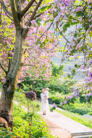 April in the human world sees the end of blooming flowers, but Guilin in April truly lives up to its name as the "City of Flowers"