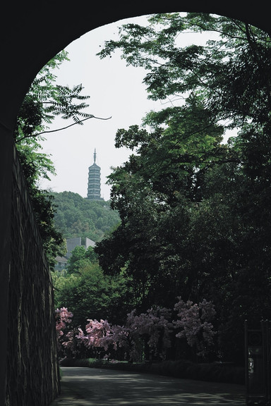 杭州の穴場秘境｜一つの園で儒教・仏教・道教を巡る、人が少なく写真