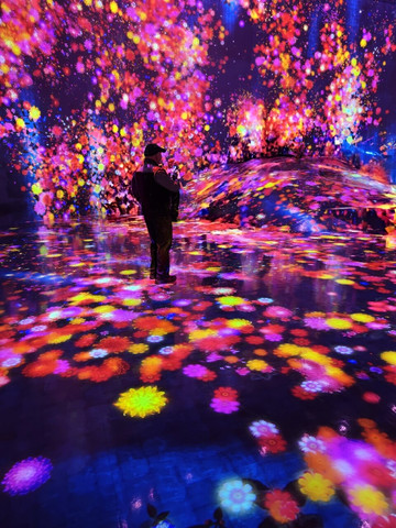 2026年、チームラボボーダレスに行ってきました！ | Trip.com