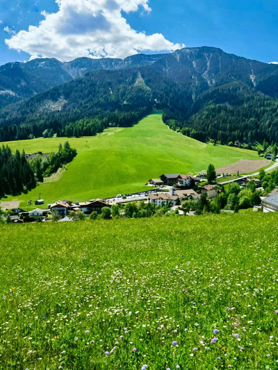 アルプス風の高原で味わう至福のひととき。 | Trip.com スイス