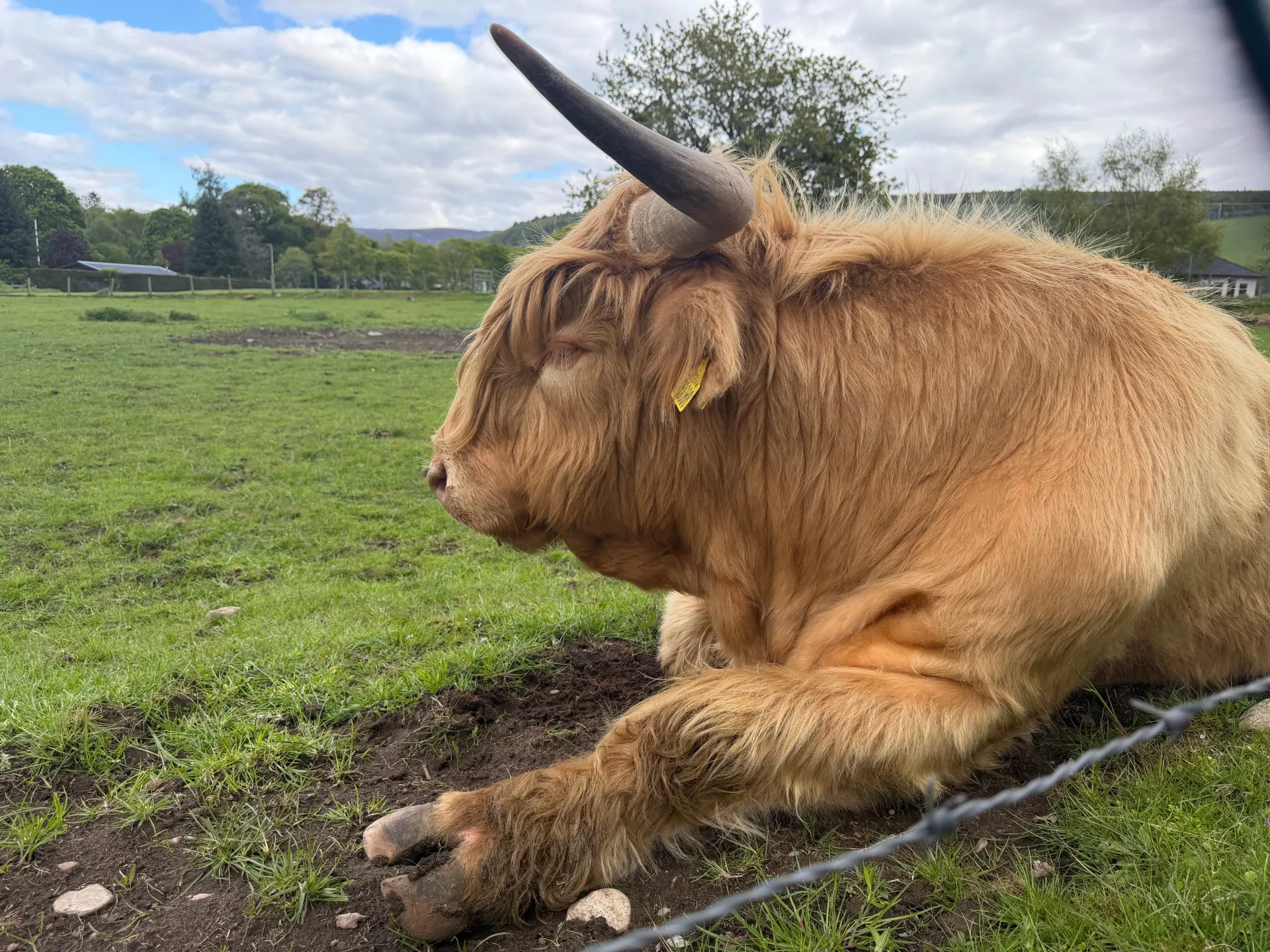 與 Luxury Scotland Tours 一起體驗難忘的客製化蘇格蘭探險之旅