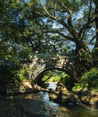 河源九連山桃源古村｜古い橋、古い塔、古い木、古い囲いを集め、深い山の中に隠れた客家～