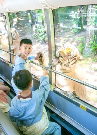 Cool getaways near Sichuan and Chongqing make friends with animals